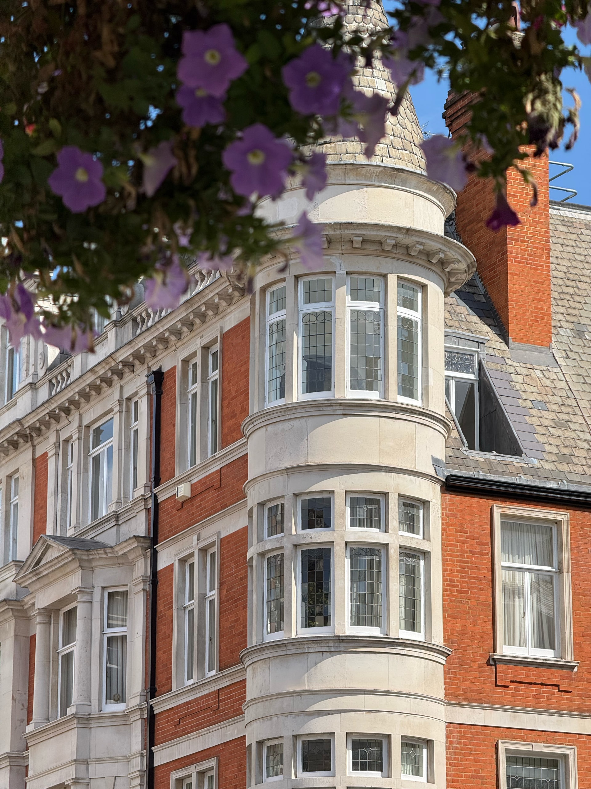 Purple flowers hanging above the bay windows of a corner building.