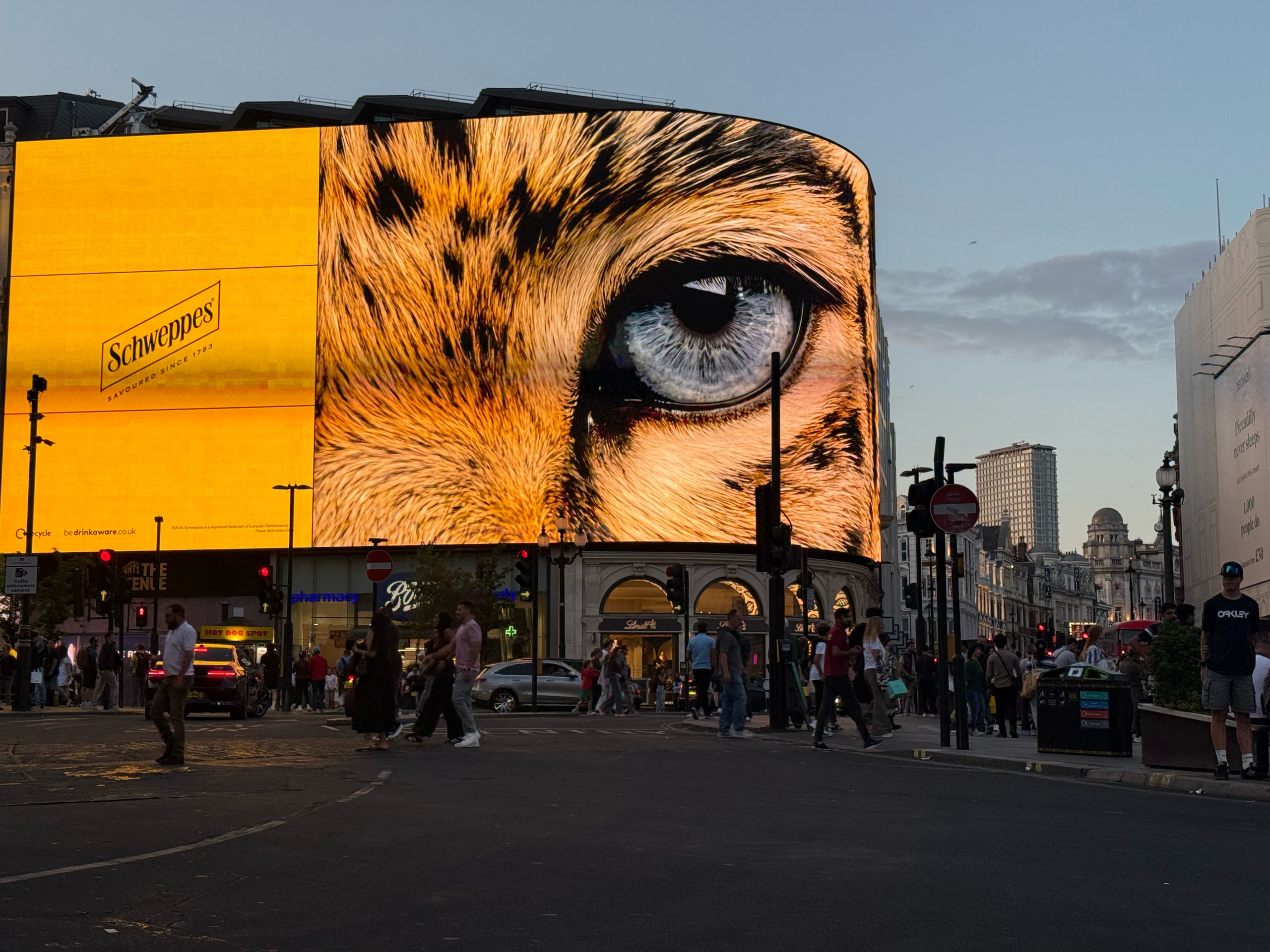 Illuminated leopard's eye on the curved billboard at Piccadilly Circus.