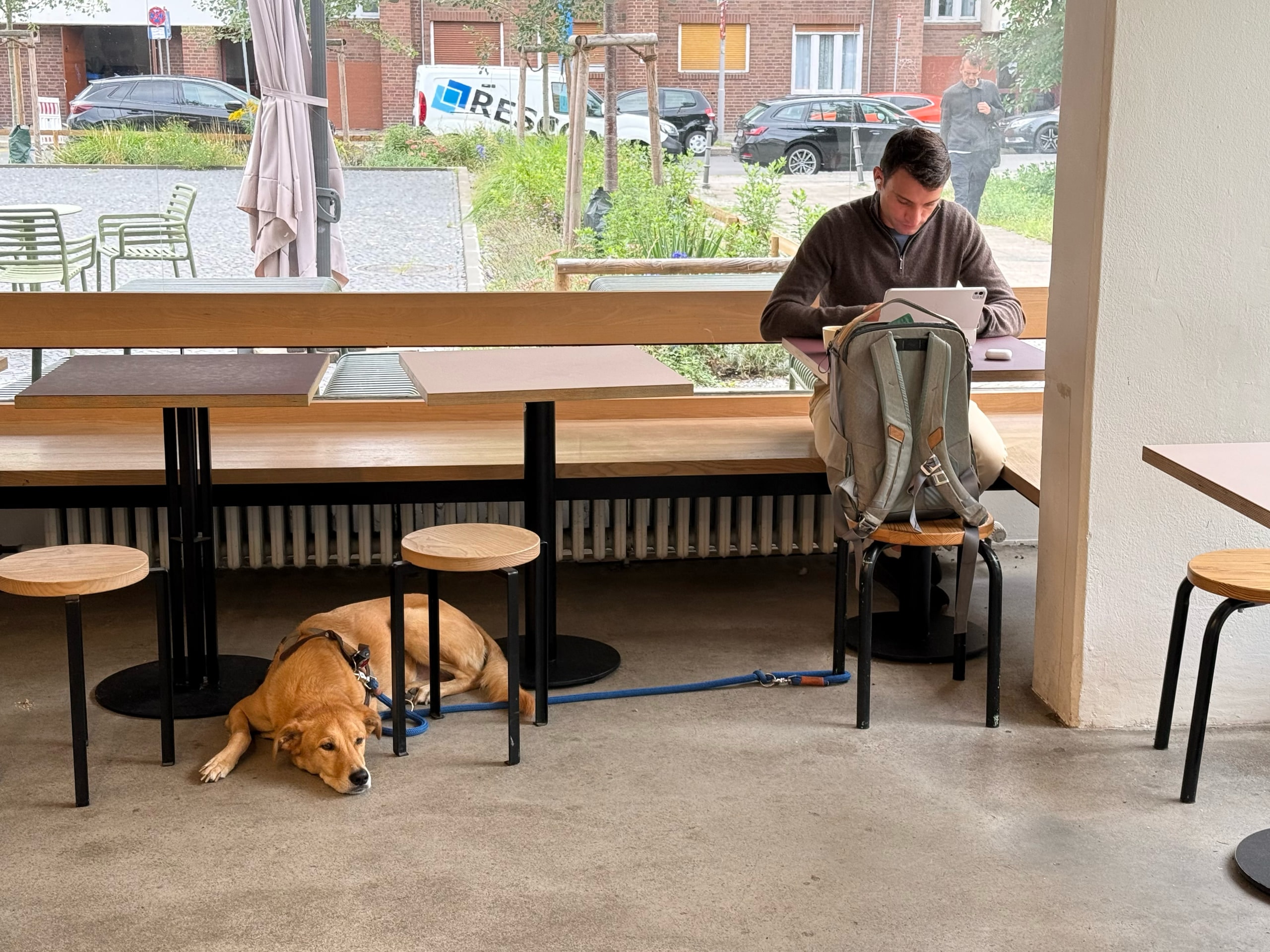 A dog asleep under a café table while a man works at the counter.