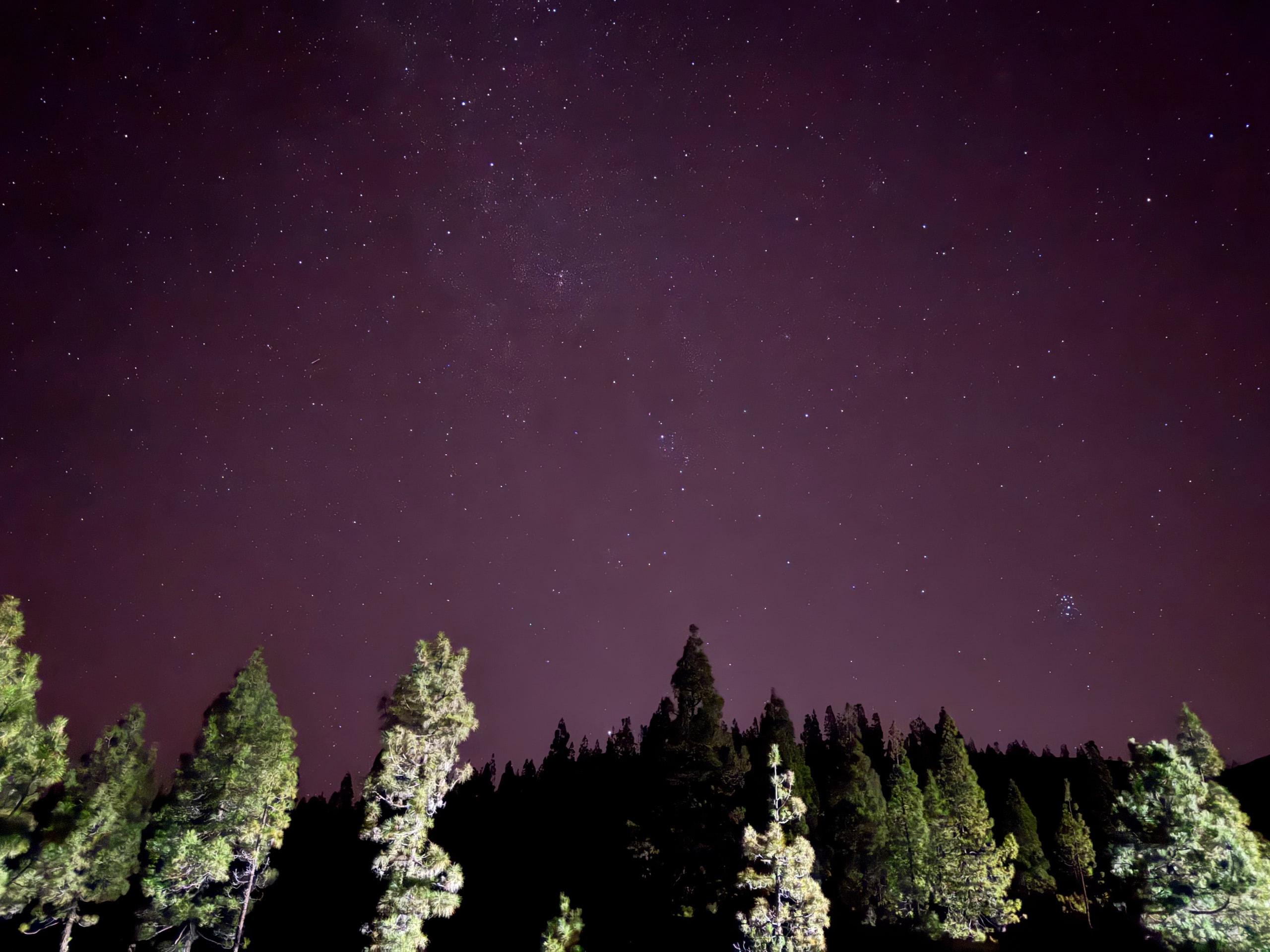 A star-filled violet sky above pines lit in the foreground.
