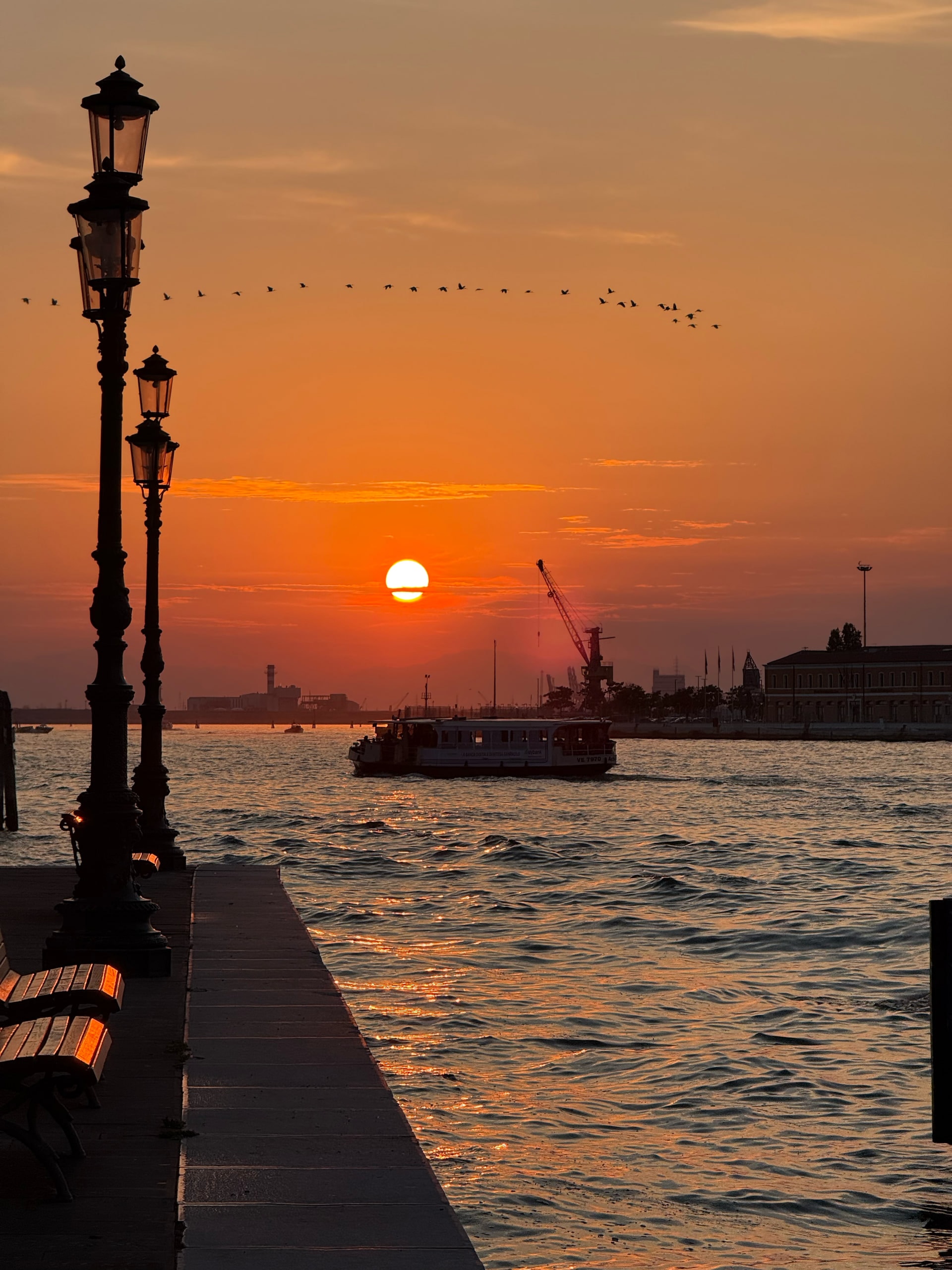 Birds strung along a wire above the lagoon at sunset, lamp posts in silhouette.