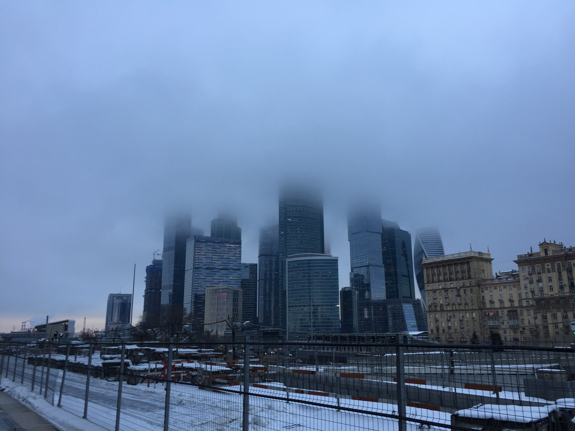 The tops of the towers disappearing into blue grey fog above snow covered ground.