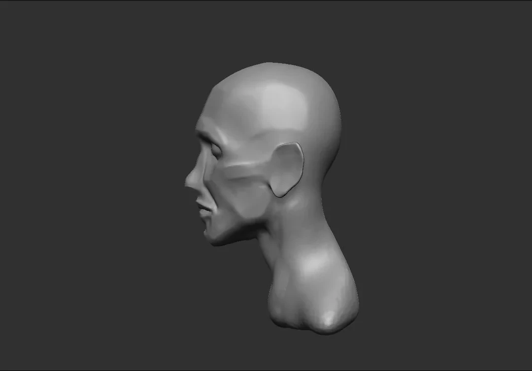 Left profile of the male head study, showing the brow, nose, jaw and neck.